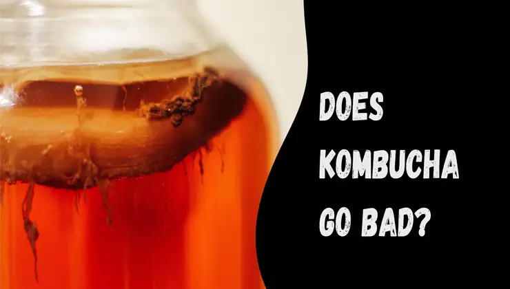 Does Kombucha go bad?
