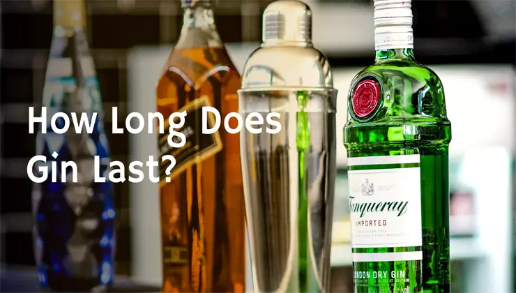How Long Does Gin Last?