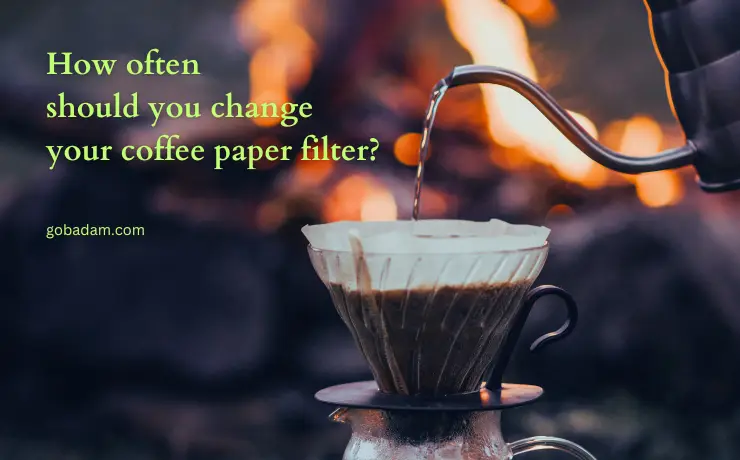 How often should you change your coffee paper filter