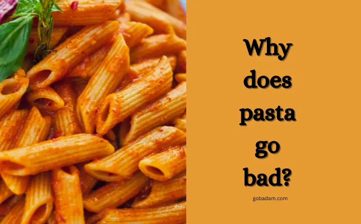 Can pasta go bad