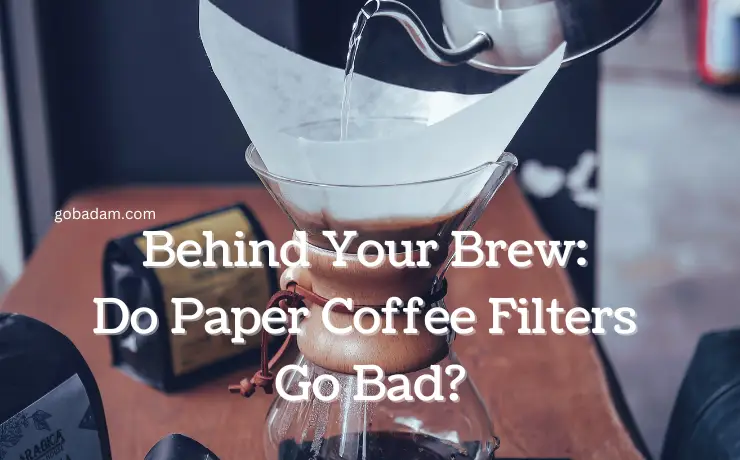 do paper coffee filters go bad