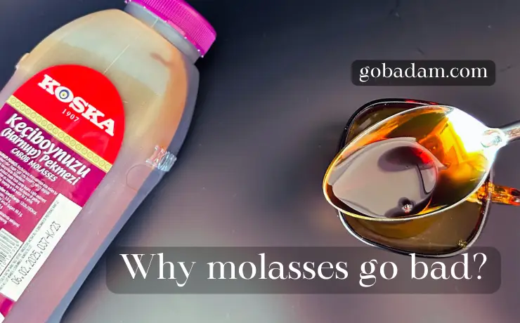 can molasses go bad