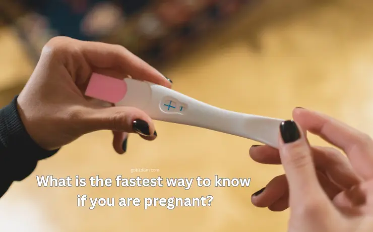 What is the fastest way to know if you are pregnant